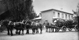 Team of horses outside the Mackaytown Hotel